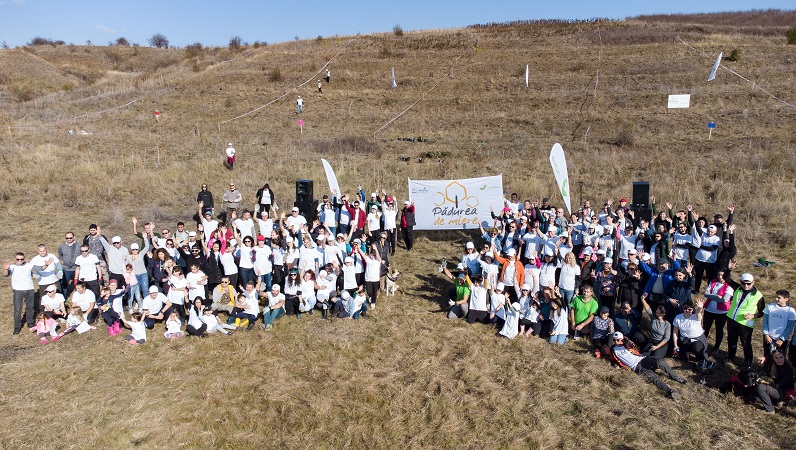 Nestlé România lansează Pădurea de Miere și plantează 20.000 de salcâmi la Giurgiu