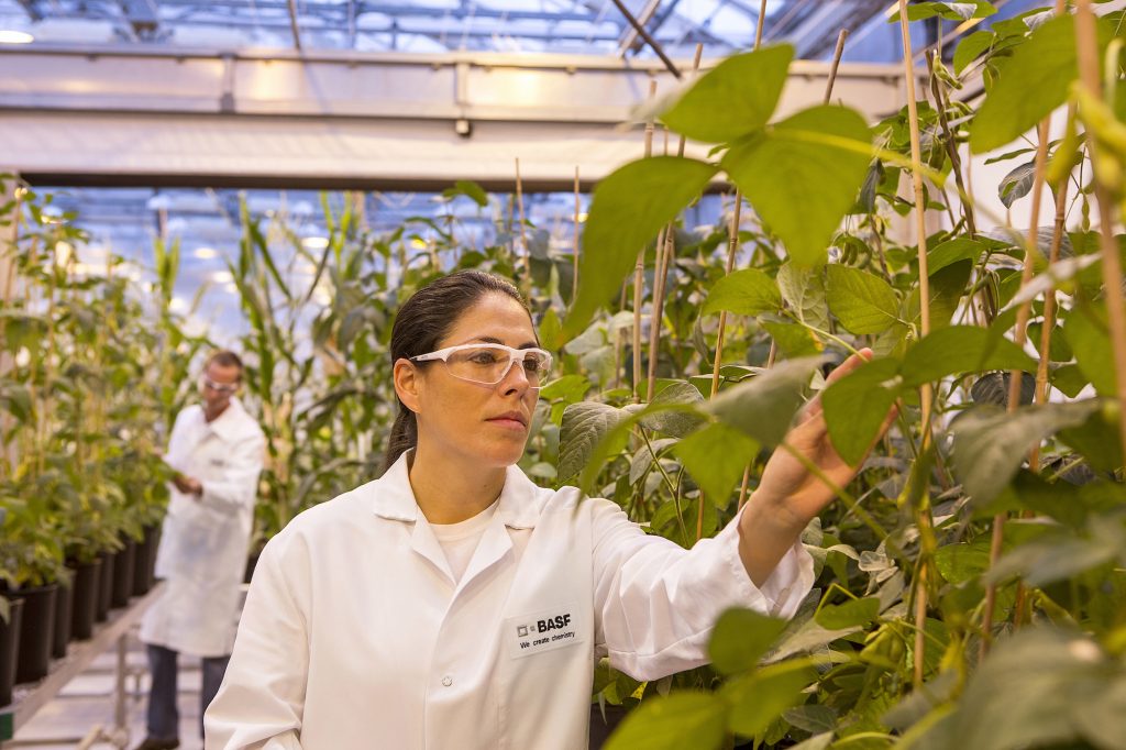 BASF advances integrated solutions to accelerate agriculture's transformation