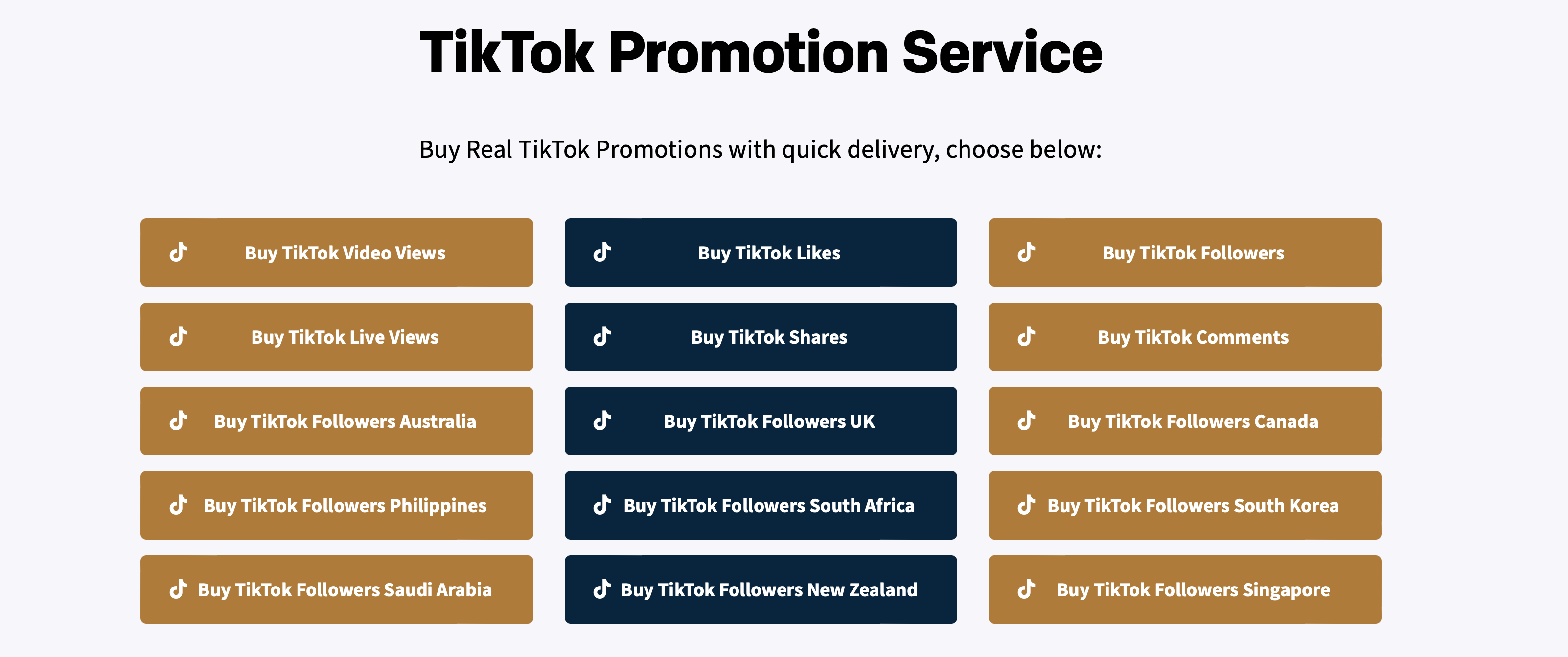 TikTok Promotion Service