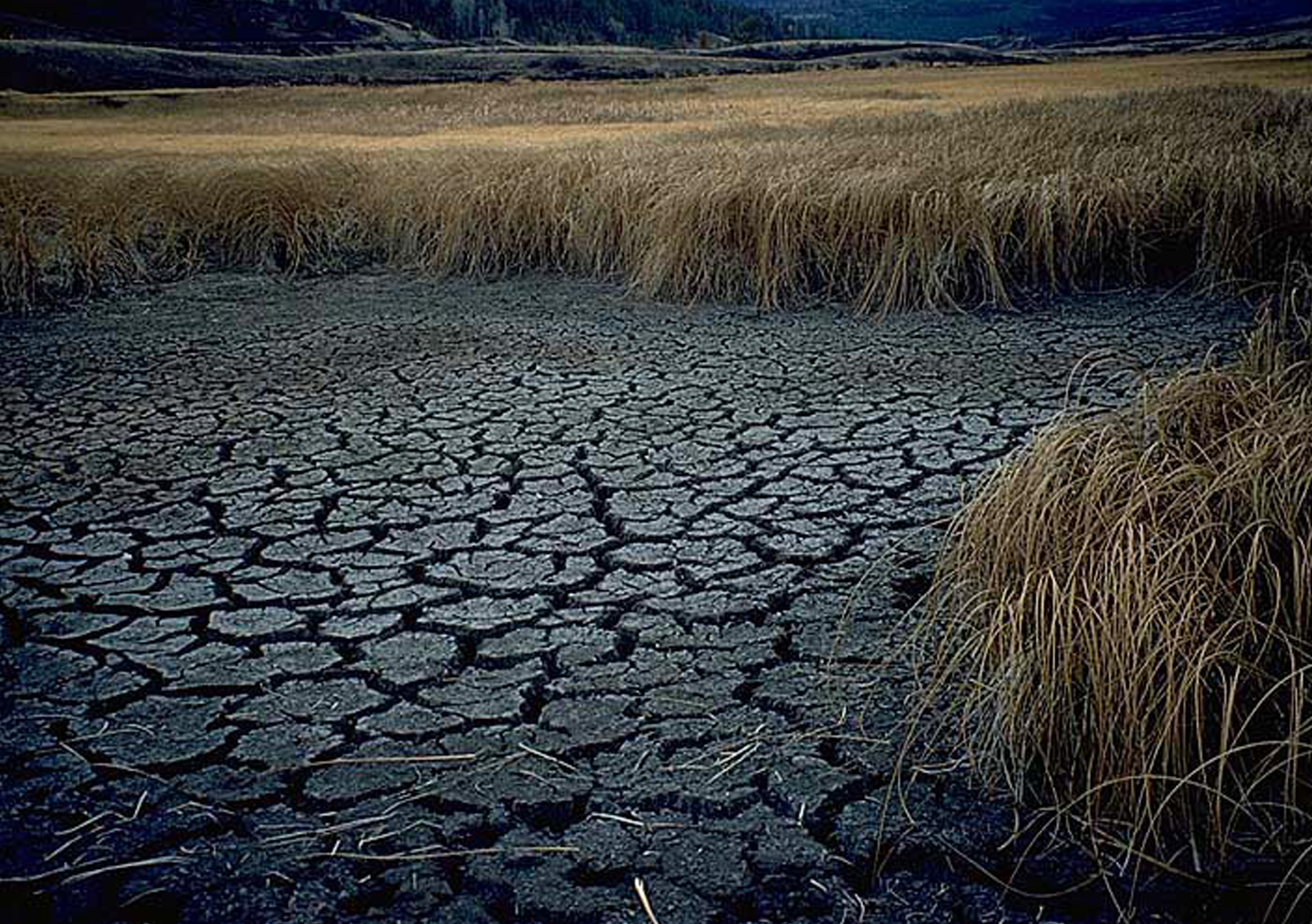 Природа голода. Вода и засуха. Пересохшая земля. Засуха в мире. Пересыхание рек и озер.